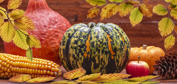 Close-up of pumpkins in autumn