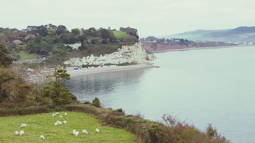 Scenic view of landscape against sky