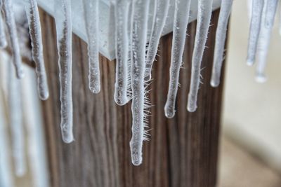 Close-up of icicles hanging on wood