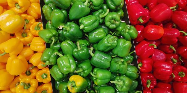 Big chilies red, green and yellow