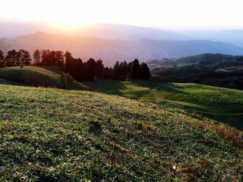 Scenic view of landscape against sky during sunset