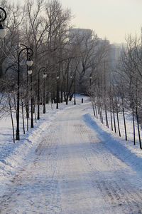 Snow covered road amidst bare trees against sky