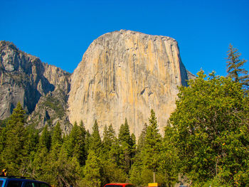 Scenic view of forest against clear blue sky