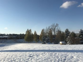 Trees on snow covered field against sky