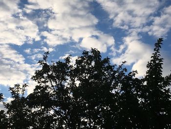 Low angle view of silhouette trees against sky