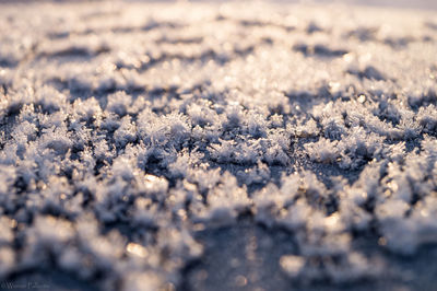 Surface level of white surface