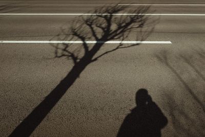 Shadow of person riding bicycle on road