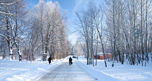 Bare trees on snow covered landscape