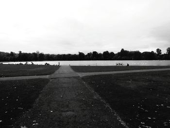 Trees in park