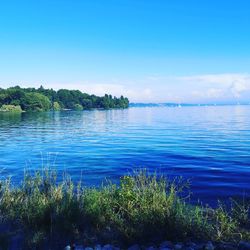 Scenic view of lake against blue sky