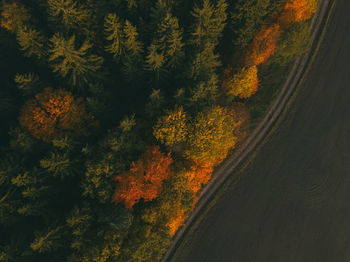 Aerial view over the agricultural fields.autumn landscape.