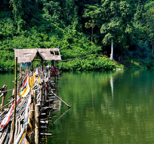 Scenic view of lake against trees