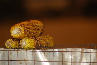 Close-up of food on table