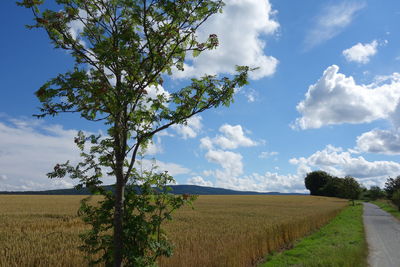 Scenic view of field against cloudy sky