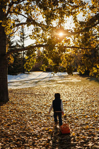 Rear view of woman with umbrella during autumn