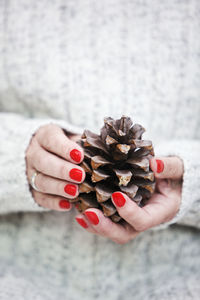 Female hands with bright red nail varnish holding a large natural pine cone, close up.
