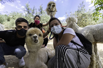 Portrait of friends with an alpaca