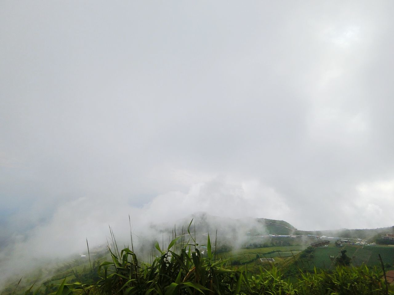 sky, scenics, fog, tranquil scene, tranquility, beauty in nature, mountain, nature, weather, landscape, cloud - sky, grass, cloudy, foggy, overcast, non-urban scene, idyllic, plant, day, growth