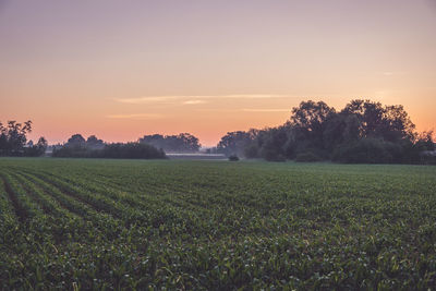 Scenic view of field against sky during sunset