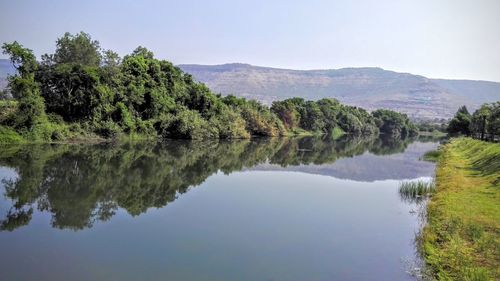 Reflection of trees in lake