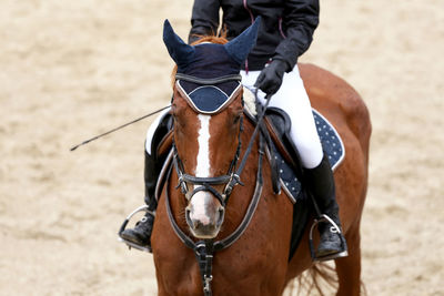 Low section of person riding horse