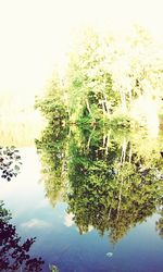 Reflection of trees in lake against sky