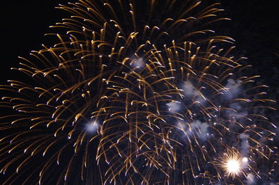 Low angle view of firework display at night