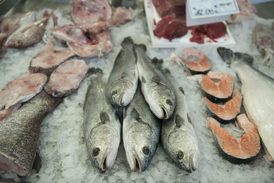 High angle view of dead fish on ice at market for sale