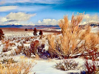 Scenic view of snow covered landscape