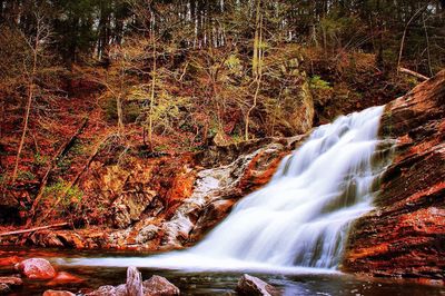 Waterfall in forest