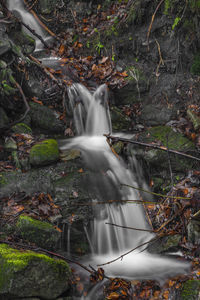 Waterfall in forest