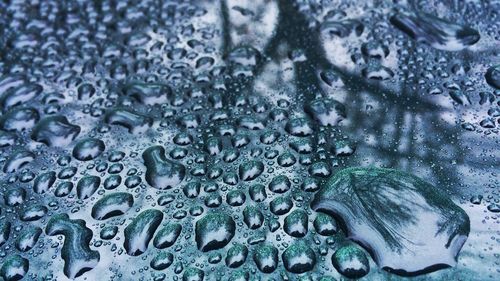 Close-up of water drops on ground