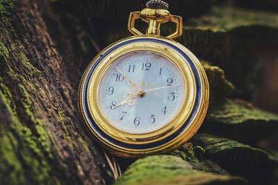 Close-up of pocket watch