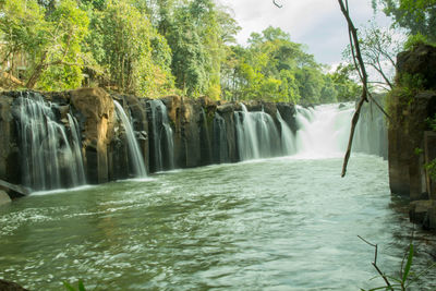 Scenic view of waterfall in forest