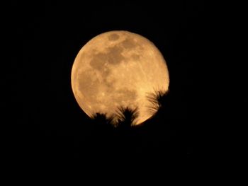 Low angle view of moon against clear sky at night