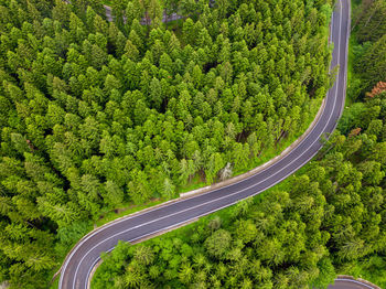 Winding road through the forest, from high mountain pass, in summer time. aerial view by drone.