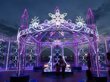 Illuminated ferris wheel at night