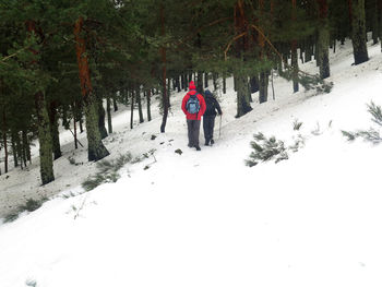 Rear view of person standing on snow covered land