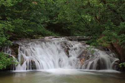 Scenic view of waterfall in forest