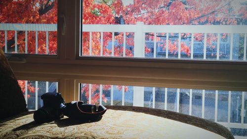 indoors