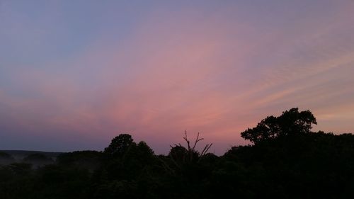 Low angle view of silhouette trees against romantic sky