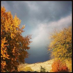 Scenic view of trees against cloudy sky