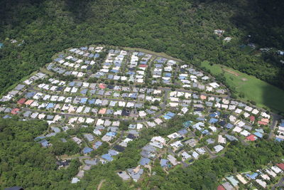 High angle view of trees in town