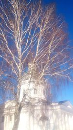 Low angle view of illuminated trees against blue sky during winter