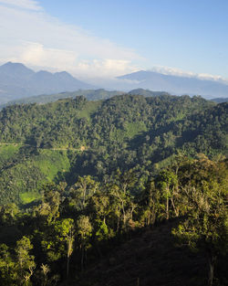 Scenic view of trees and mountains against sky