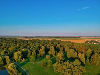 Scenic view of field against blue sky