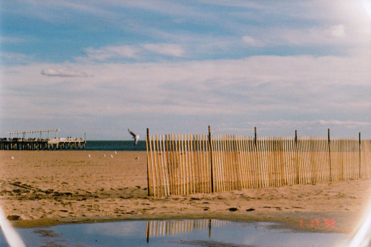 WOODEN POSTS ON BEACH