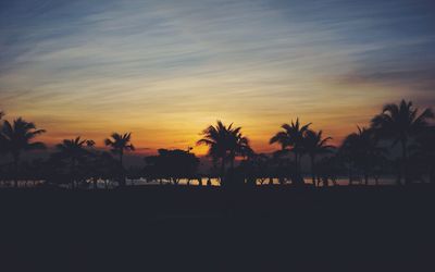 Silhouette palm trees at sunset