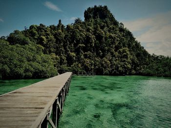 Traditiomal jetty at raja ampat... one of the best dive destination on earth