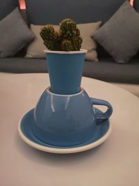 Close-up of potted plant on table